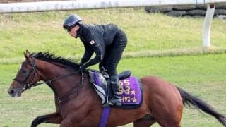 【読売マイラーズＣ】アドマイヤズームは最終調整後も気配上々　友道調教師「爪の心配なくやれたのが大きい」