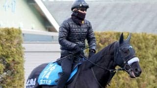 【読売マイラーズＣ】京都金杯Ｖブエナオンダの最終調整は角馬場でじっくり　陣営「馬体にガタも来ていない」