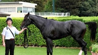 【ケンタッキーダービー】ワンダーディーンが現地で追い切り消化　陣営「これなら当日にベストのパフォーマンスが発揮できる」