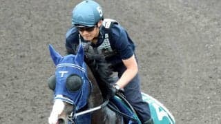 【香港・ＱＥ２世Ｃ】週中の雨の影響は？手塚久調教師が自ら歩いて芝コースを確認　これまで８戦良馬場のマスカレードボール