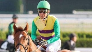 土曜京都競馬場の注目激走馬…京都１１Ｒ天王山ステークス