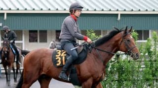 土曜東京競馬場の注目激走馬…東京１１Ｒ青葉賞・Ｇ２