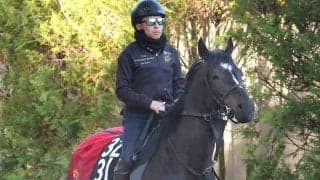 【青葉賞】５・２億円馬のサガルマータは６着　ダービー出走権に届かずも横山武史騎手は「これからが楽しみです」