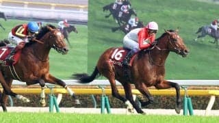 【青葉賞】「次はダービーでしょうから、頑張りたい」武豊騎手が歴代最多タイの４勝目　ゴーイントゥスカイがＶ　