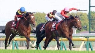 【青葉賞】タイダルロック２着でダービー優先出走権獲得　しぶとい末脚引き出した三浦皇成騎手「ここを使って上がってくれそう」