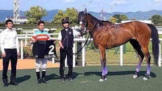 【京都１１Ｒ・天王山Ｓ】３連単５８万円超！　ブービー人気ジュンウィンダムが差し切る　国分優作騎手「展開も向きました」