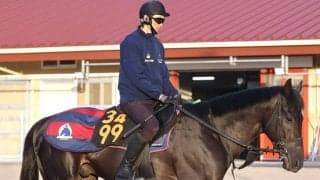 【青葉賞】無敗の人気馬ノーブルサヴェージが最終コーナーで競走中止にネット悲痛「止まり方心配すぎる」「無事であって」