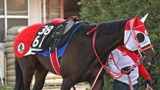 【青葉賞】ＧＬＡＹのＴＥＲＵが名付け親　テルヒコウは１４着　３度目の重賞挑戦も坂井瑠星騎手「今日のメンバーでは…」