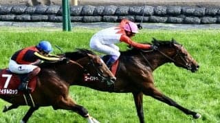 【青葉賞】武豊お見事！ゴーイントゥスカイが抜け出す…ノーブルサヴェージは競走中止