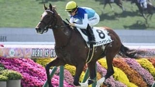 【マイラーズC前日オッズ】アドマイヤズームが3.7倍で1番人気