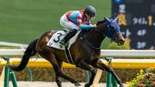 【東京5R】良血グランマエストロ、惜敗続きに終止符打てず…勝利したのはリラ