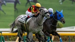 【東京4R】断然人気シニャンガが危なげなく初勝利…単勝1.5倍の支持に応える