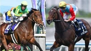 【香港チャンピオンズデー】日本から3競走に計6頭参戦 カーインライジングやロマンチックウォリアーに挑む