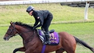 【読売マイラーズＣ・特選有力馬チェック】アドマイヤズームは買うべき？