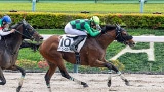 【東京6R】断然人気ビービークローサーが差し切りV…単勝1.8倍の支持に応える