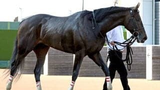 【ケンタッキーダービー】無傷３連勝ダノンバーボンが決戦の地に到着　陣営「輸送は問題なくクリアできたかと思います」