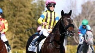 半兄は天皇賞(秋)覇者のマスカレードボール アナザーフェイスが初勝利狙う