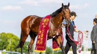 WIN5は1億5000万円超の払戻し…青葉賞は武豊ゴーイントゥスカイが快勝
