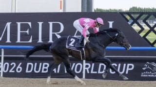 【ケンタッキーダービー】「非常に状態が良い」ワンダーディーン順調、本番へ向け万全の仕上がり