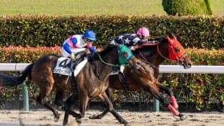 【東京12R】武豊コーカサスゴールドが人気に応える