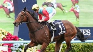 【競馬予想】香港チェアマンズスプリントプライズ、19連勝中のカーインライジングは本当に鉄板か
