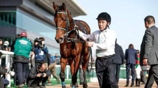 【今日の注目ポイント】マイラーズCとフローラSの2重賞と香港チャンピオンズデー