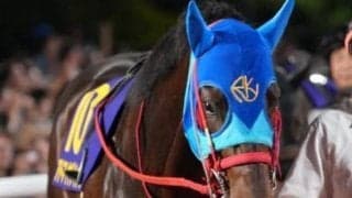 【オアシスS】25年のUAEダービー覇者のアドマイヤデイトナ 5カ月半ぶり復帰戦で勝利なるか