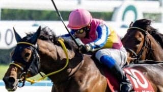 マイラーズCは実績馬が好成績 ローテーションに注目