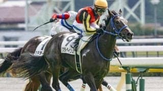 【フローラS予想】樫の舞台に続くステップレース スタミナと底力問われる一戦