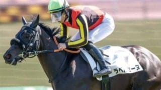 【フローラS予想】激荒れレースにもパターンあり？ 過去データから探るGIIフローラS