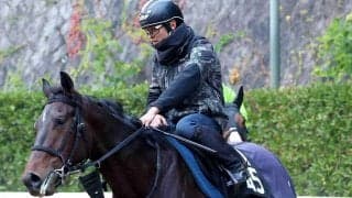 【羽田盃】「３歳ダート３冠」第１戦の枠順が確定！ロックターミガンは８枠１３番からＪｐｎ１初制覇目指す　リアライズグリントは２枠２番