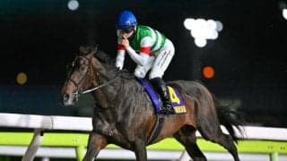 【大井・羽田盃枠順】京浜盃を制したロックターミガンは8枠13番、雲取賞覇者のリアライズグリントは2枠2番