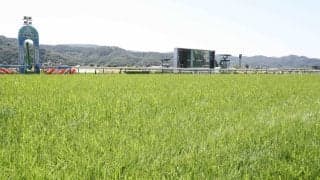 日曜福島競馬場の注目激走馬…福島１１Ｒモルガナイトステークス