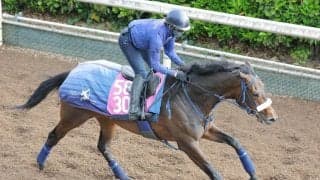 日曜東京競馬場の注目激走馬…東京１１Ｒフローラステークス・Ｇ２