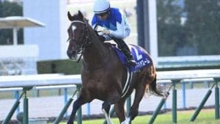 【マイラーズC・馬体重】アドマイヤズームは482kg(+8)、ウォーターリヒトは478kg(+4)