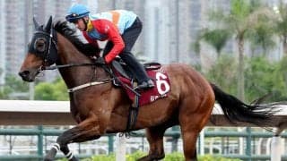 【チェアマンズＳＰ】「全く苦労しませんでした」で圧巻のコースレコード！カーインライジングが２０連勝　獲得賞金は３０億円を突破