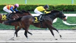 【オアシスＳ】得意の左回りでドンインザムードが一騎打ち制す　荻野極騎手「すごく充実している」