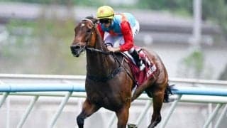 【香港・チェアマンズSP結果】カーインライジング圧勝で20連勝達成！ サトノレーヴ2着