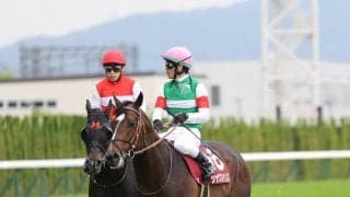 【読売マイラーズＣ】４戦ぶり芝のシックスペンスは７着　復活星ならずも戸崎圭太騎手「前走より上手に走れていました」