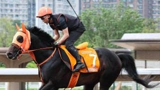 【チャンピオンズマイル】日本馬２頭は大敗...ジャンタルマンタル１３着に高野調教師「根本的に合わないのかも」