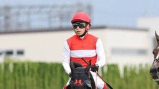 【読売マイラーズＣ】５・１億円馬ショウナンアデイブは１３番人気も粘って４着　池添謙一騎手「しまいもよく頑張って…」