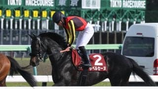 【フローラＳ】キャリア１戦で２番人気のラベルセーヌは５着　荻野極騎手「内枠で包まれる形になって…」