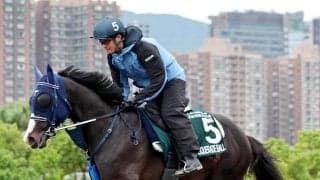 【ＱＥ２世Ｃ】最後方追走のマスカレードボール惜敗２着に手塚久調教師「あわよくば差し切ってほしいと...」　日本勢３頭は勝利を飾れず　