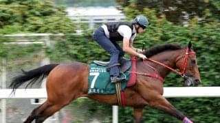 【ＱＥ２世Ｃ】やっぱり強い！ロマンチックウォリアーが１４度目のＧ１勝利　世界歴代最高を更新する獲得賞金５４億円超に