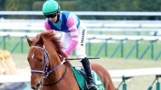 【読売マイラーズＣ】まさかの１３着大敗は３番人気ウォーターリヒト　高杉吏麒騎手「あとは展開とか、馬場状態が」