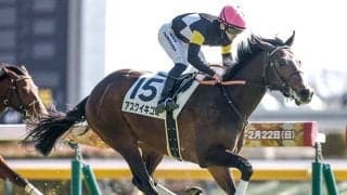 【NHKマイルC】アスクイキゴミ、カヴァレリッツォなどが登録