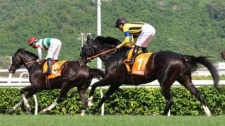 【チャンピオンズマイル】ジャンタルマンタルまさかの１３着に川田将雅騎手「まずは無事にゴールまで走ってくれたことに感謝しています」