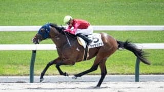 【京都6R】ゴールドドリーム産駒カナタコナタがオープン入り