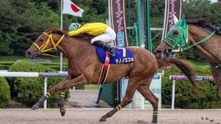 【佐賀・ヴィーナスＣ】不良馬場の決戦　サノノエスポが重賞初勝利　エスポワールシチー産駒の６歳牝馬が遅咲きのタイトル奪取