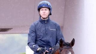 【Ｇ１・１週前まとめ】スティンガーグラスの友道康夫調教師「前回より落ち着いているんだよね」天皇賞・春